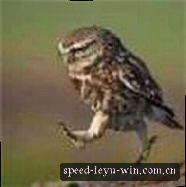 刘伟